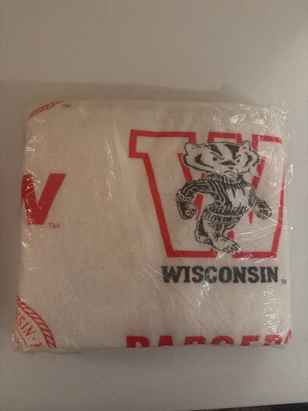 Blanket - Bucky Badger design