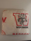 Blanket - Bucky Badger design